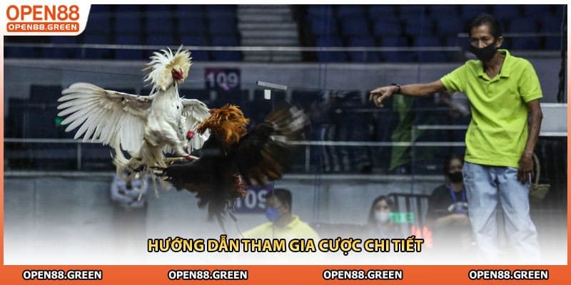 Hướng dẫn tham gia cược chi tiết